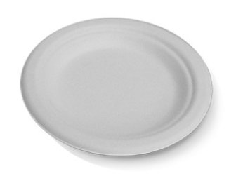 10" Sugarcane Round Plate 500/Carton